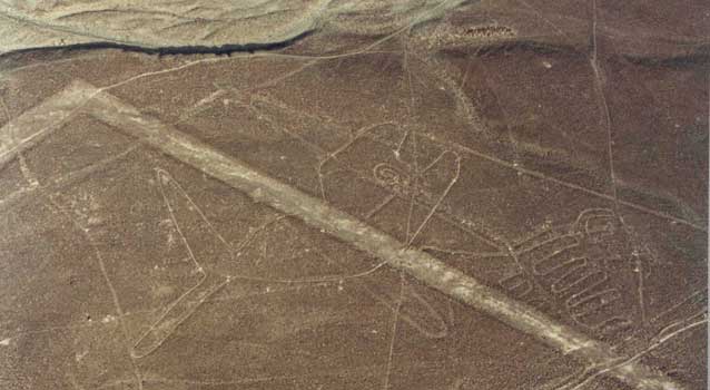 ballena-de-nasca