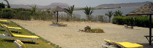 Condor Resort