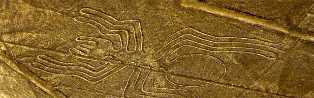 figura araña